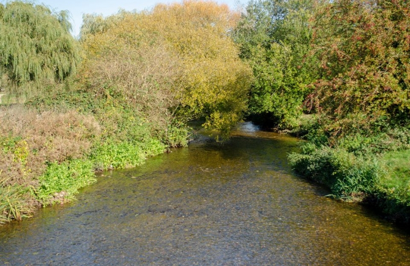 Bim at the River Lea