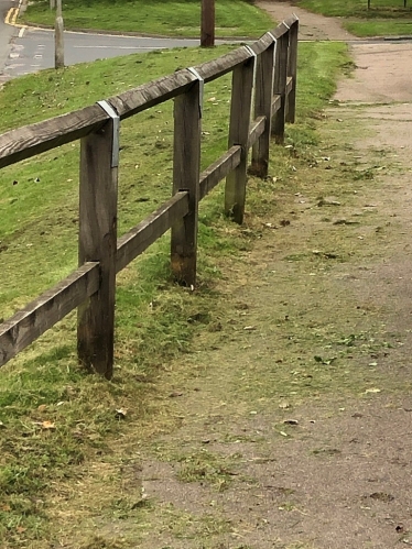 Grass Cutting